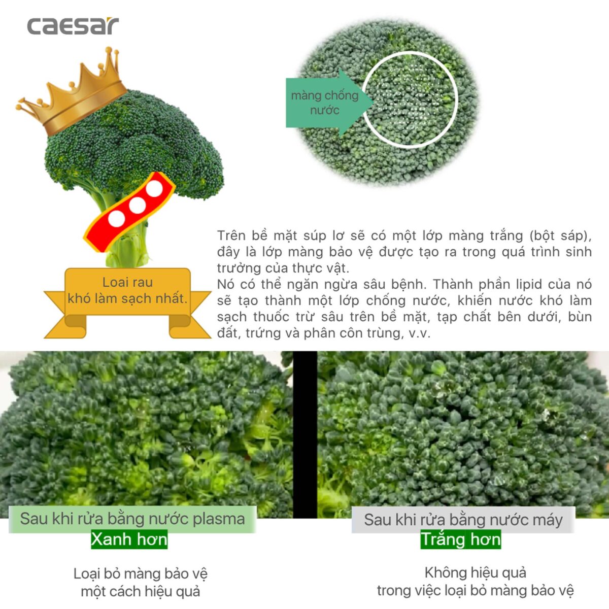 Vòi rửa bát CAESAR KP1035SA cảm ứng rút dây diệt khuẩn Plasma - Ảnh 15