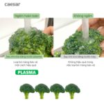 Vòi rửa bát CAESAR KP1035SA cảm ứng rút dây diệt khuẩn Plasma - Ảnh 16