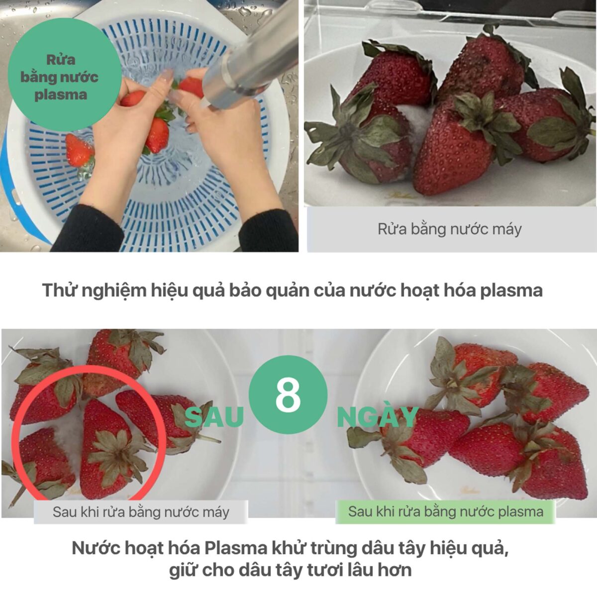 Vòi rửa bát CAESAR KP1035SA cảm ứng rút dây diệt khuẩn Plasma - Ảnh 17