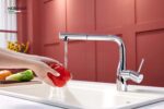 Vòi rửa bát NOBINOX JAPA NX996 rút dây nóng lạnh - Ảnh 3