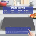 Bếp từ đôi BLUEGER B-819 PLATINUM - Ảnh 6