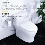 Bồn cầu 1 khối CAESAR C1393 nắp êm - Ảnh 6