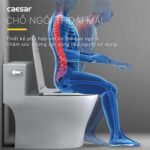 Bồn cầu 1 khối CAESAR C1393 nắp êm - Ảnh 12