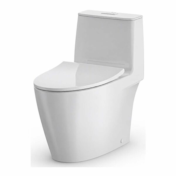 Bồn cầu 1 khối INAX AC-922VN Aqua Ceramic nắp êm